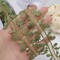 Green Leaf Ribbon 20 Yards Artificial Green Leaves Trim Rope Garland Leaf String for Gift Wrapping Party Wedding Home Decorations